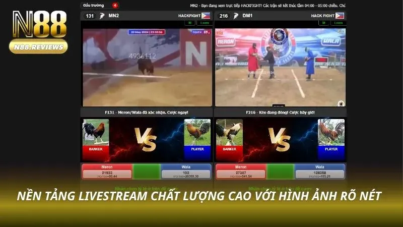 Đá Gà N88 Màn hình livestream đá gà chất lượng cao