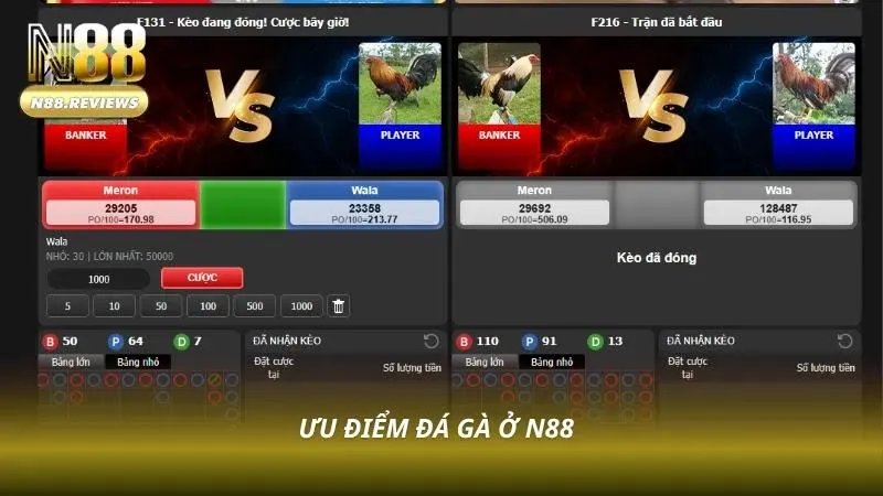 Đá Gà N88 Người chơi theo dõi đá gà trực tuyến