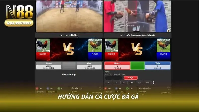 Đá Gà N88 Giao diện đặt cược đá gà dễ sử dụng